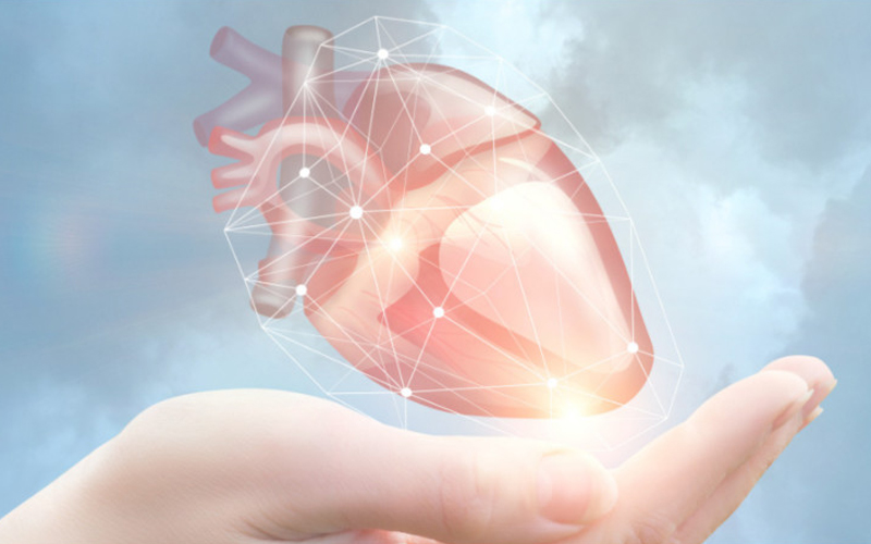 心脏移植无创排斥检测